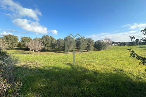 Masia a Ostuni, Brindisi, Ostuni - € 75.000 | Ref: Casolare Vert - foto 2